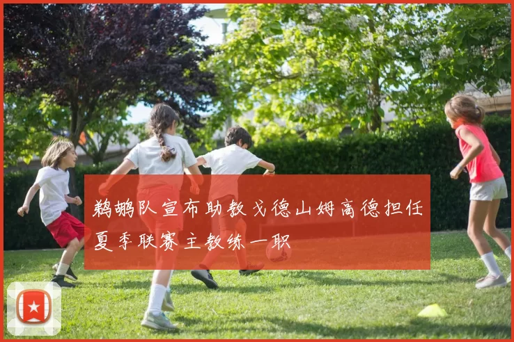 鹈鹕队宣布助教戈德山姆高德担任夏季联赛主教练一职