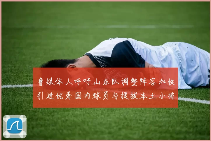 鲁媒体人呼吁山东队调整阵容加快引进优秀国内球员与提拔本土小将
